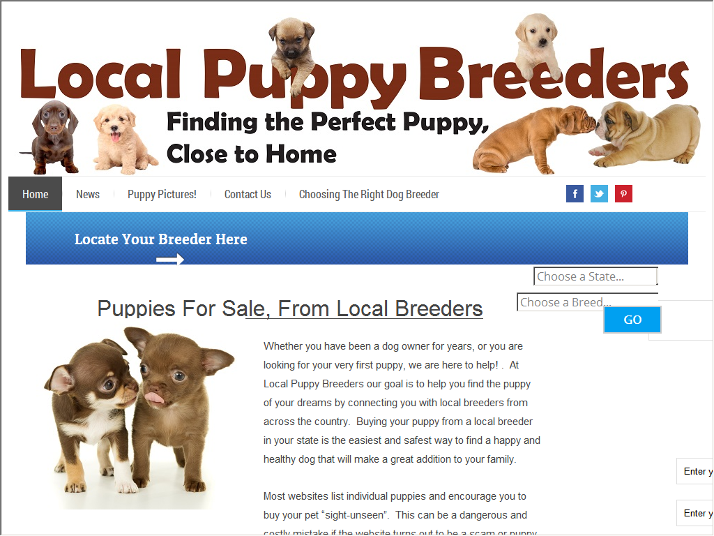 local puppy breeders near me